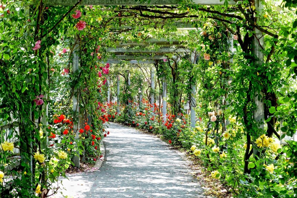 Alt om vedligeholdelse af pergola